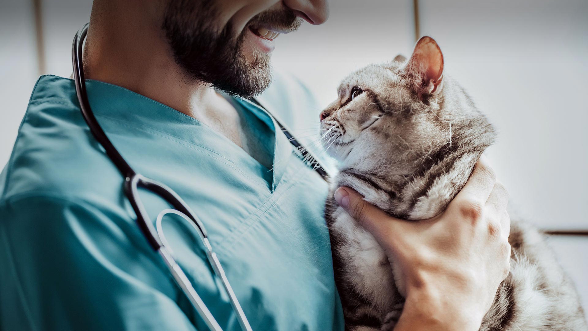 İmamoğlu Veteriner